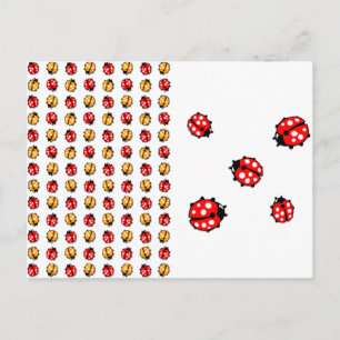 Marienkäfer Invasion Postkarte