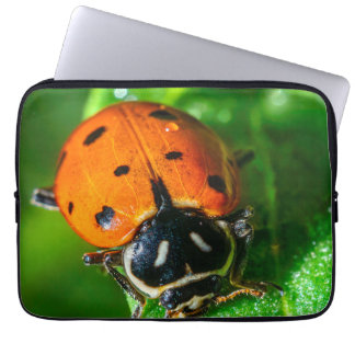 Marienkäfer Laptop Hülle | Lebendige Makro-Natur-H Laptopschutzhülle