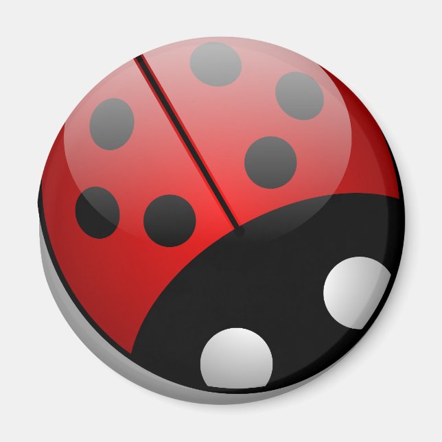 Marienkäfer Magnet (Vorne)