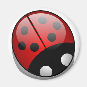 Marienkäfer Magnet