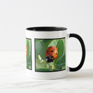Marienkäfer, Marienkäfer ~ Tasse