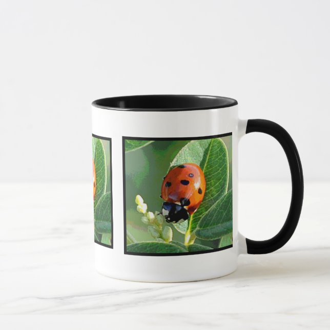 Marienkäfer, Marienkäfer ~ Tasse (Rechts)