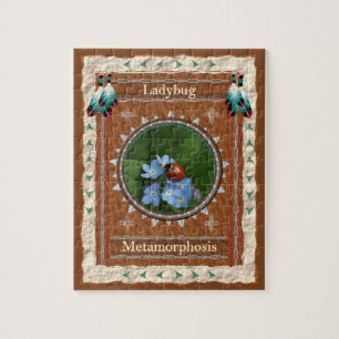 Marienkäfer-Metamorphose-Energie