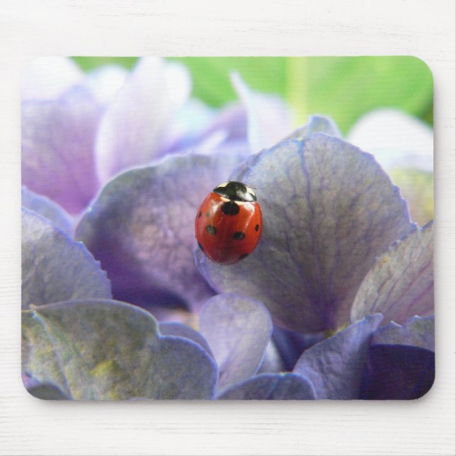 Marienkäfer Mousepad (Vorne)