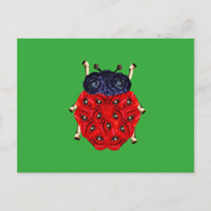 Marienkäfer Postkarte
