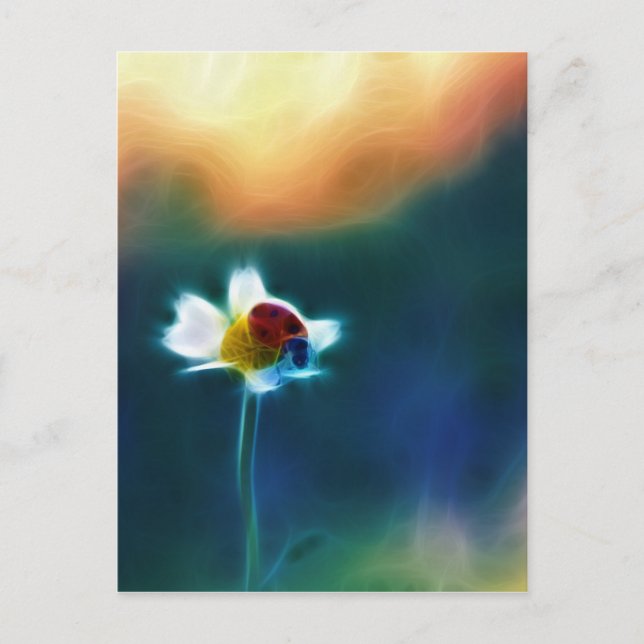 Marienkäfer Postkarte (Vorderseite)