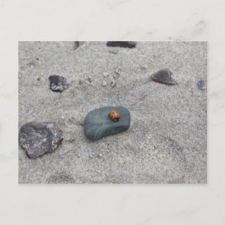 Marienkäfer Strand Postkarte