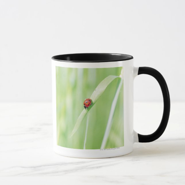 Marienkäfer Tasse (Rechts)
