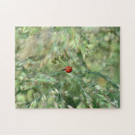 Marienkäfer unterging..