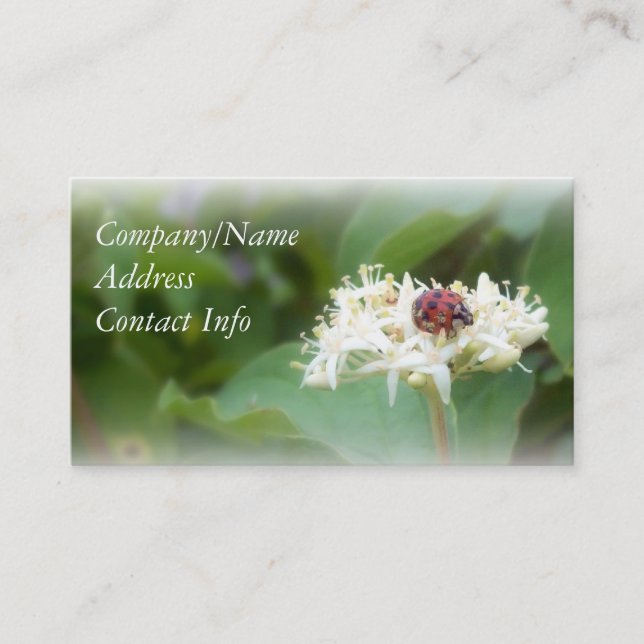 Marienkäfer Visitenkarte (Vorderseite)