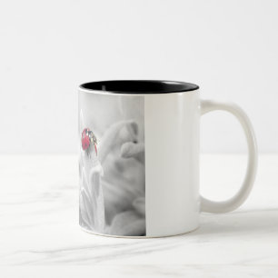Marienkäfer Zweifarbige Tasse