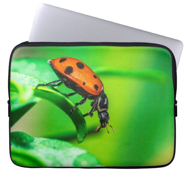 Marienkäferblatt Laptopschutzhülle (Vorderseite)