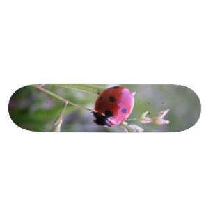 Marienkäferbrett Skateboard