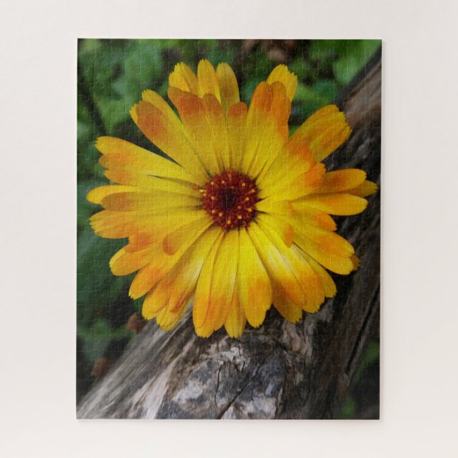 Marigold (Vertikal)