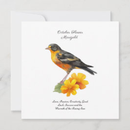 Marigold-Blume im Oktober und Bird Birth