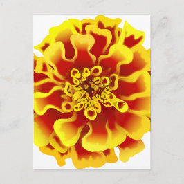 Marigold Blume Postkarte
