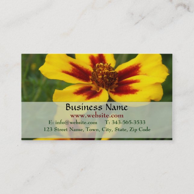 Marigold Carte de visite (Devant)
