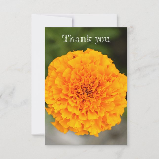 Marigold Flat Thank You Card Dankeskarte (Vorderseite)