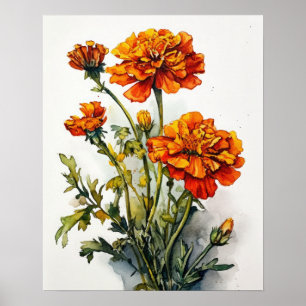 Marigold Flowers Art Imprimer Poster