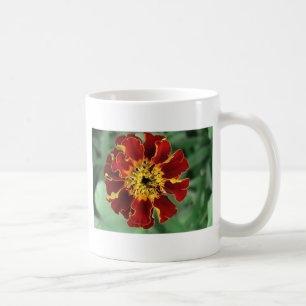 Marigold Kaffeetasse
