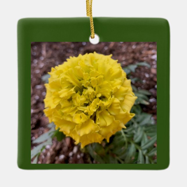 Marigold Keramikornament (Vorderseite)