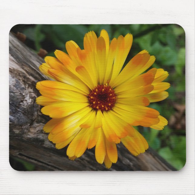 Marigold Mousepad (Vorne)