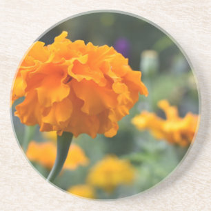 Marigold Orange Blume Naturfotografie Garten Getränkeuntersetzer