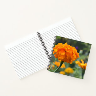 Marigold Orange Blume Naturfotografie Garten Notizbuch