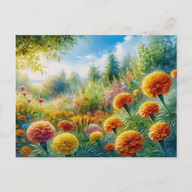 Marigold Postkarte (Vorderseite)
