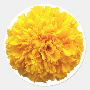 Marigold Runder Aufkleber