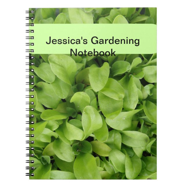 Marigold Seedlings Custom Gardening Notebook Notizblock (Vorderseite)