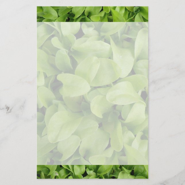 Marigold Seedlings Stationery Briefpapier (Vorderseite)