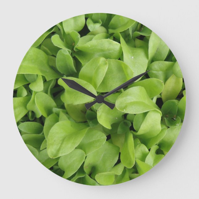 Marigold Seedlings Wall Clock Große Wanduhr (Vorderseite)