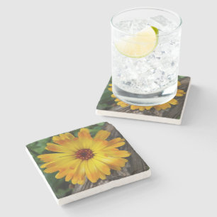 Marigold Steinuntersetzer