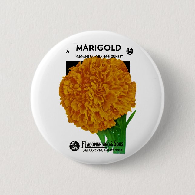 Marigold Vintag Seed Packet Button (Vorderseite)