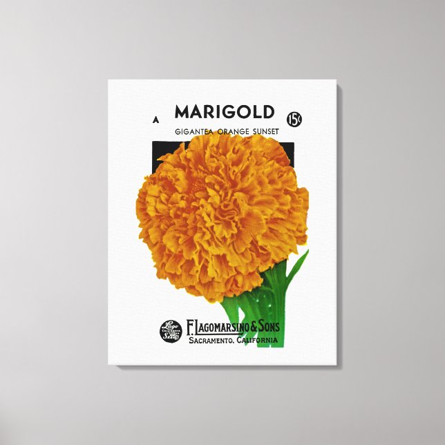 Marigold Vintag Seed Packet Leinwanddruck (Vorderseite)