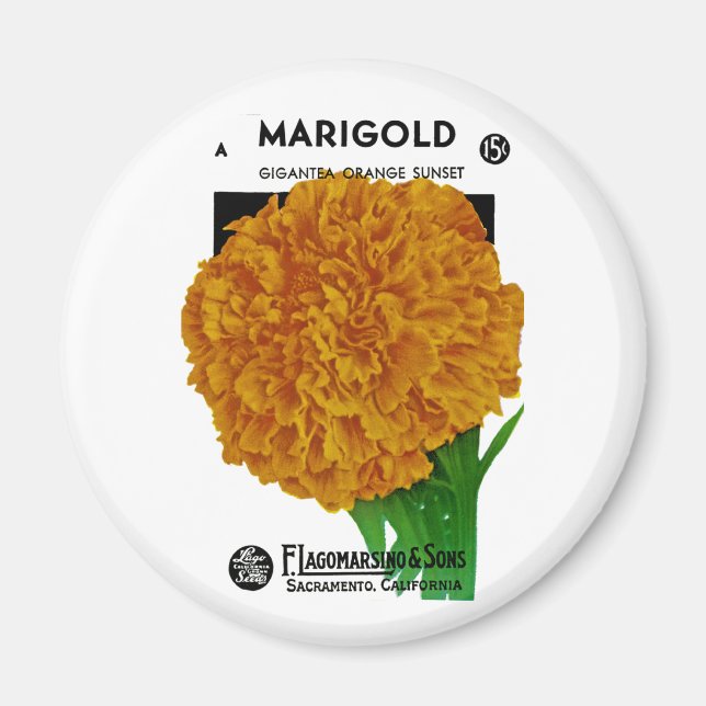 Marigold Vintag Seed Packet Magnet (Vorne)