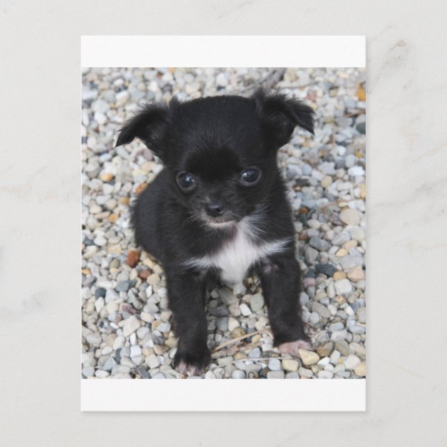 Marika2 Postkarte (Vorderseite)