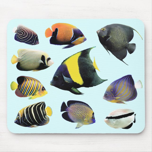 Marine Angelfishの ス ウ1ドNr.0 Mousepad (Vorne)
