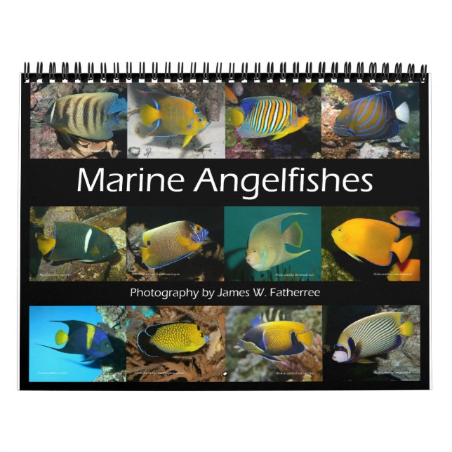Marine Angelfish Wall Calendar von J.W. Vater Kalender (Titelbild)