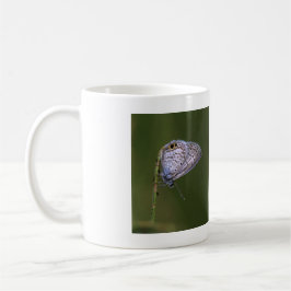 Marine Blue Butterfly Kaffeetasse
