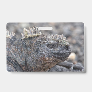 Marine Iguana Ausweis