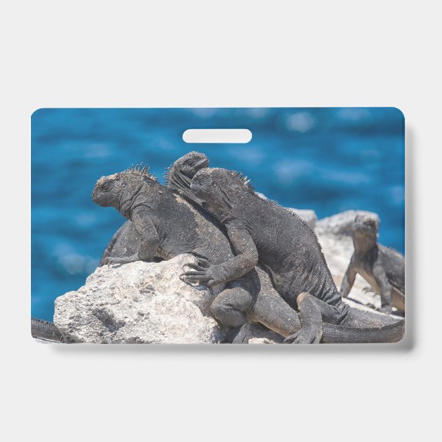 Marine Iguana Ausweis (Vorderseite)