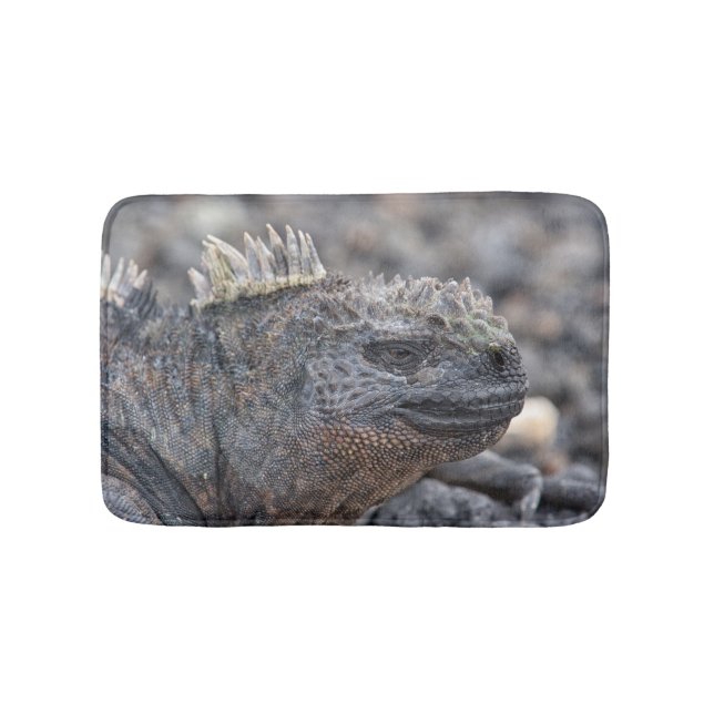 Marine Iguana Badematte (Vorderseite)