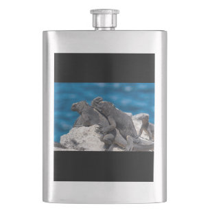 Marine Iguana Flachmann