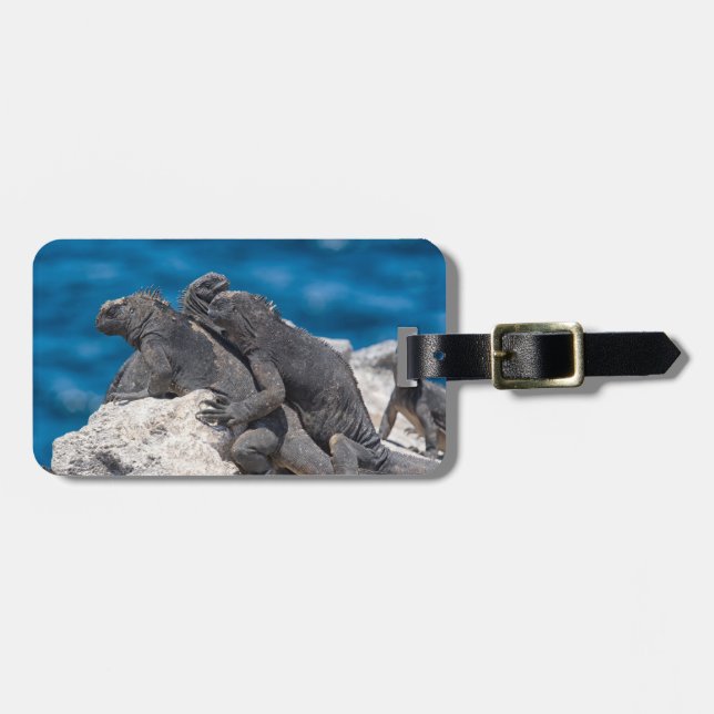 Marine Iguana Gepäckanhänger (Vorderseite horizontal)