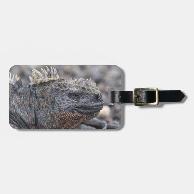 Marine Iguana Gepäckanhänger (Vorderseite horizontal)