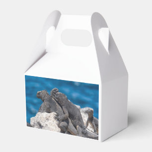 Marine Iguana Geschenkschachtel