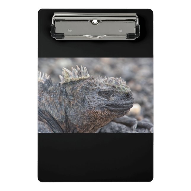 Marine Iguana Mini Klemmbrett (Vorderseite)