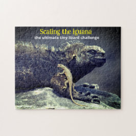 Marine Iguana und Lava Lizard